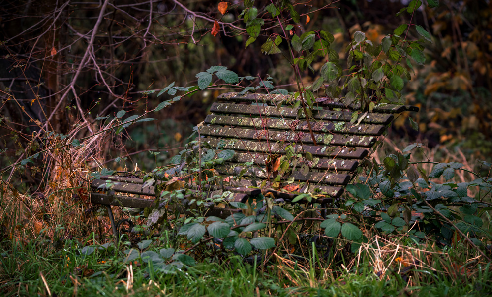 Wald-Bank